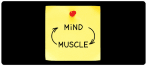 Read more about the article “Understanding How Training Develops Reflexes and Muscle Memory”