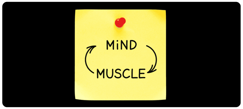 You are currently viewing Comprendre Comment l’Entraînement Développe les Réflexes et la Mémoire Musculaire