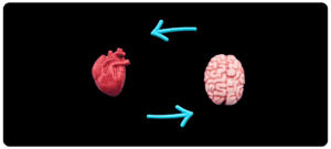 Lire la suite à propos de l’article La Cohérence Cardiaque : Un Outil Précieux pour la Récupération sportive et le Bien-être