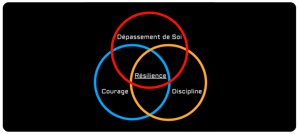 La Résilience : un Atout Essentiel Renforcé par l’OIS Krav Maga